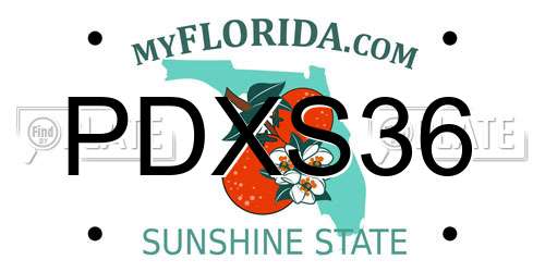 PDXS36 Florida License Plate