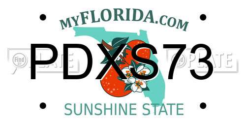 PDXS73 Florida License Plate