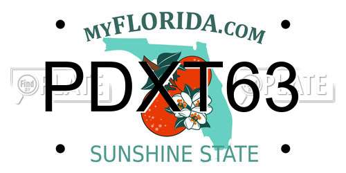 PDXT63 Florida License Plate
