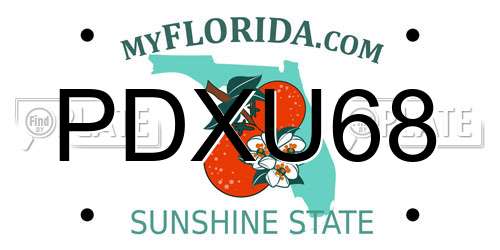 PDXU68 Florida License Plate