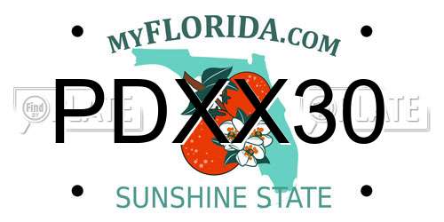 PDXX30 Florida License Plate