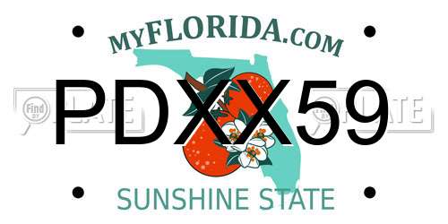 PDXX59 Florida License Plate