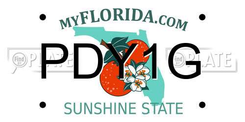 PDY1G Florida License Plate