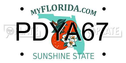 PDYA67 Florida License Plate