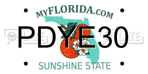 PDYE30 Florida License Plate