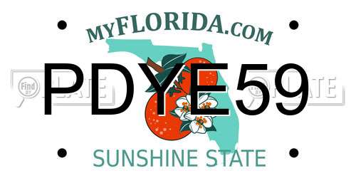 PDYE59 Florida License Plate