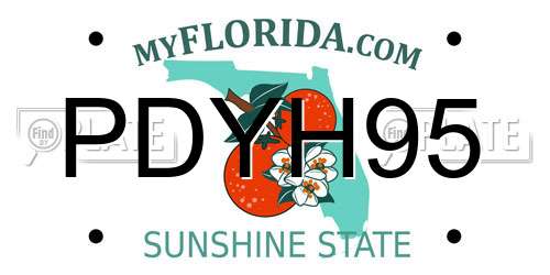 PDYH95 Florida License Plate