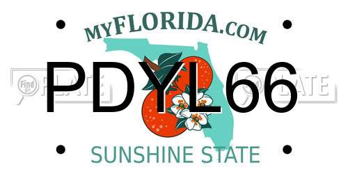 PDYL66 Florida License Plate