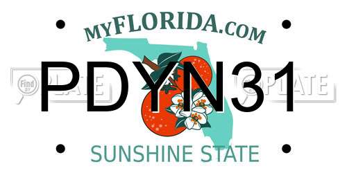 PDYN31 Florida License Plate