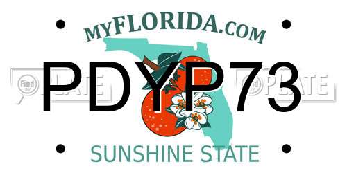 PDYP73 Florida License Plate