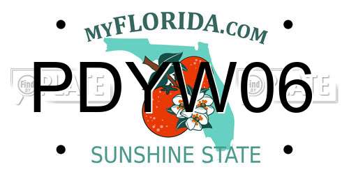 PDYW06 Florida License Plate
