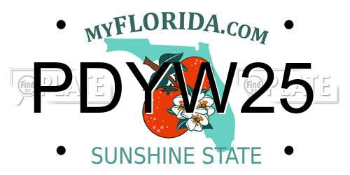 PDYW25 Florida License Plate