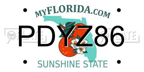 PDYZ86 Florida License Plate