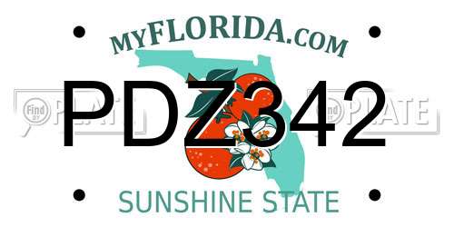 PDZ342 Florida License Plate