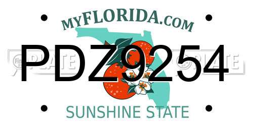 PDZ9254 Florida License Plate