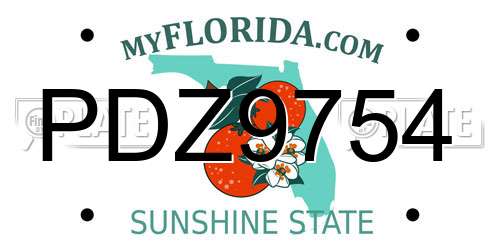 PDZ9754 Florida License Plate