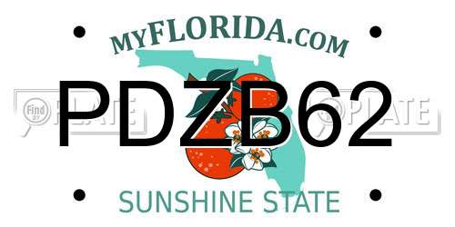 PDZB62 Florida License Plate