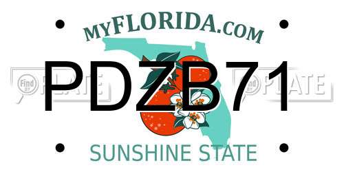 PDZB71 Florida License Plate