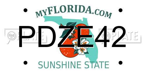 PDZE42 Florida License Plate
