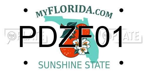 PDZF01 Florida License Plate