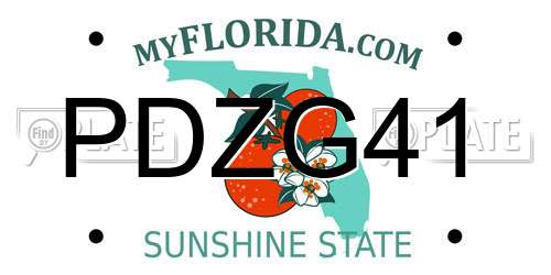 PDZG41 Florida License Plate