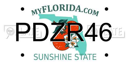 PDZR46 Florida License Plate
