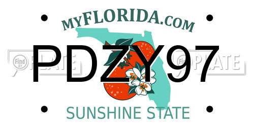 PDZY97 Florida License Plate