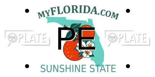 PE Florida License Plate
