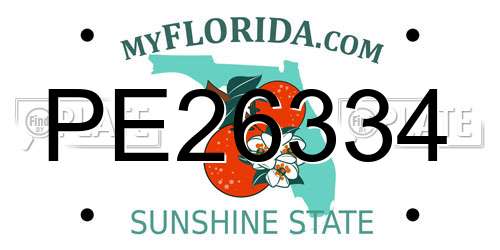 PE26334 Florida License Plate