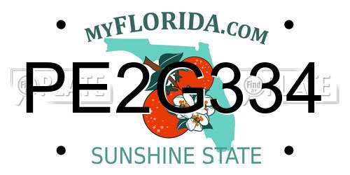 PE2G334 Florida License Plate