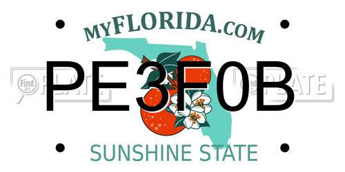 PE3F0B Florida License Plate