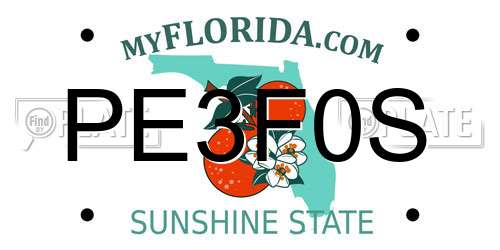 PE3F0S Florida License Plate