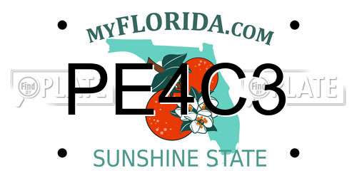 PE4C3 Florida License Plate