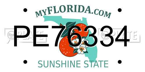 PE76334 Florida License Plate