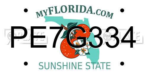 PE7G334 Florida License Plate