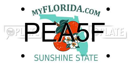 PEA5F Florida License Plate