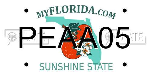 PEAA05 Florida License Plate