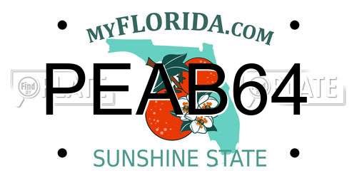 PEAB64 Florida License Plate