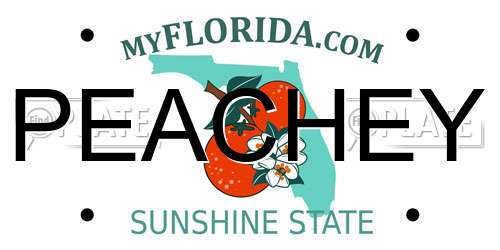 PEACHEY Florida License Plate