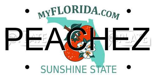 PEACHEZ Florida License Plate