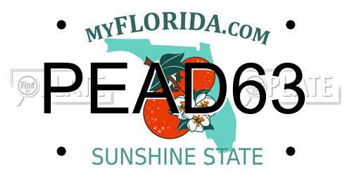 PEAD63 Florida License Plate