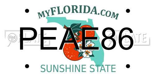 PEAE86 Florida License Plate