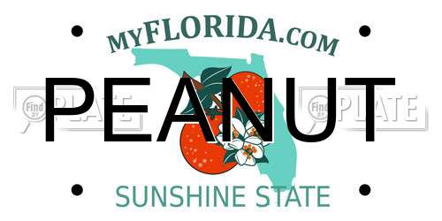 PEANUT Florida License Plate