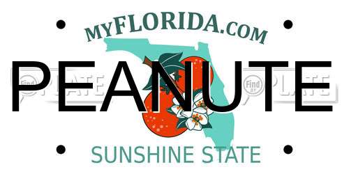 PEANUTE Florida License Plate
