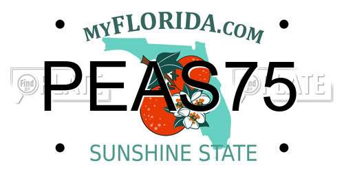 PEAS75 Florida License Plate