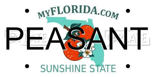 PEASANT Florida License Plate