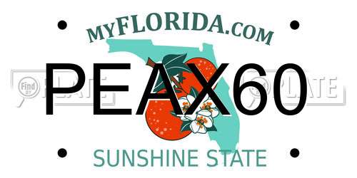 PEAX60 Florida License Plate