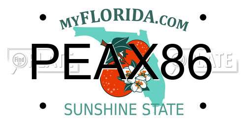 PEAX86 Florida License Plate