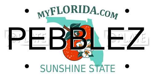 PEBBLEZ Florida License Plate