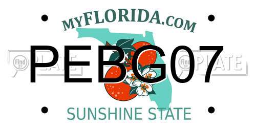 PEBG07 Florida License Plate